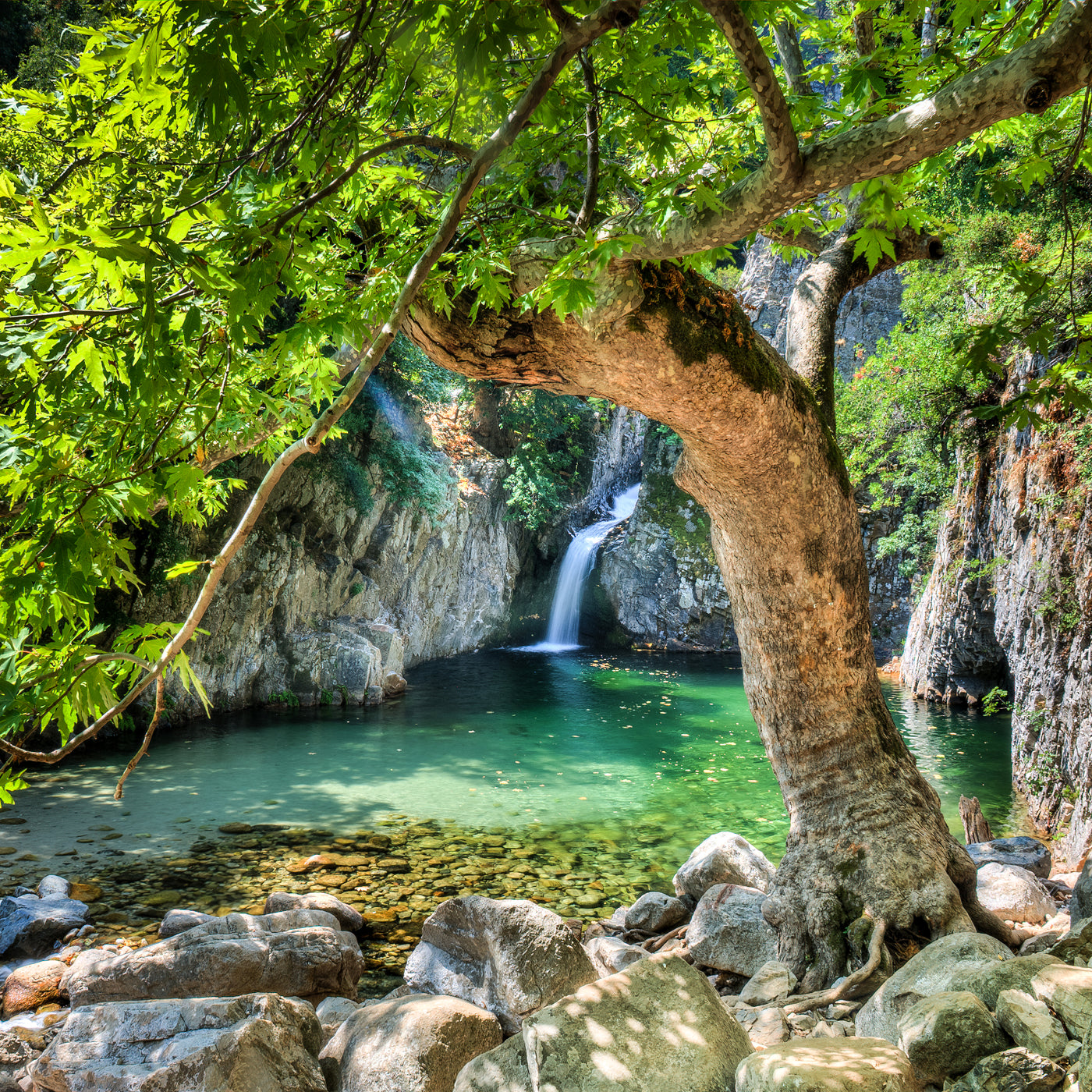 les dieux aux bains 100ml
